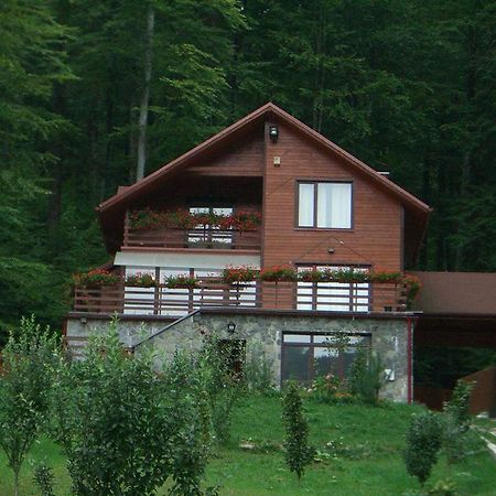 Villa Mara Sinaia Kültér fotó