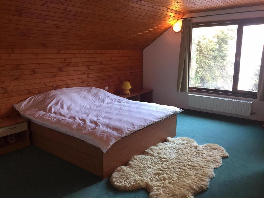 Villa Mara Sinaia Kültér fotó