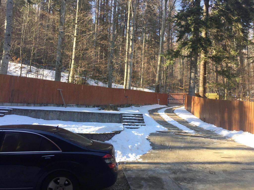Villa Mara Sinaia Kültér fotó