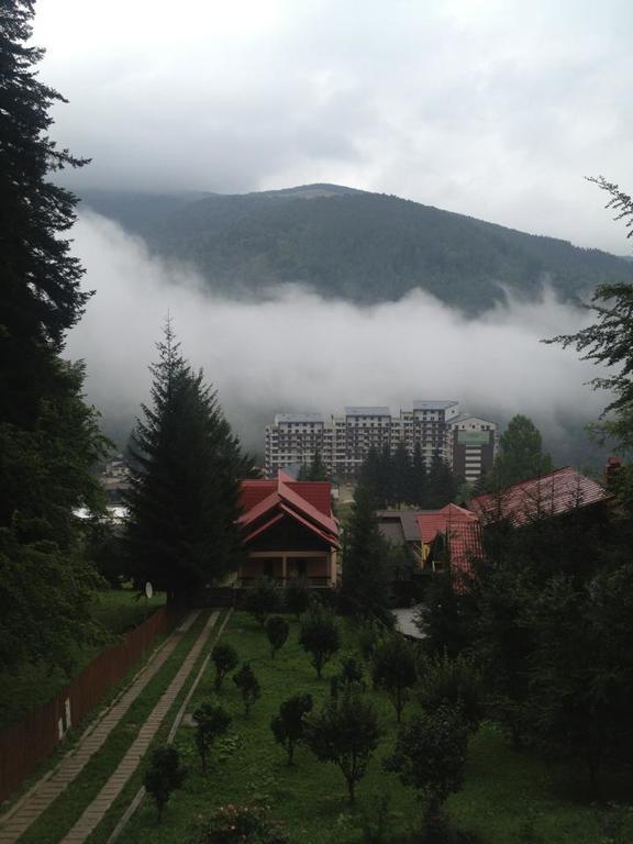 Villa Mara Sinaia Kültér fotó