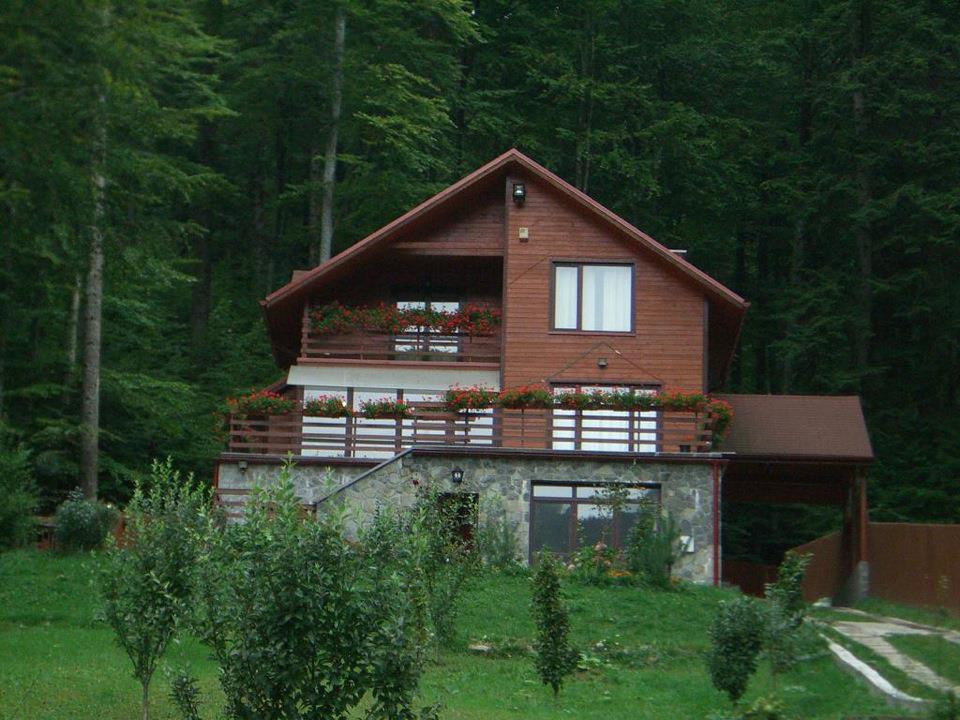 Villa Mara Sinaia Kültér fotó